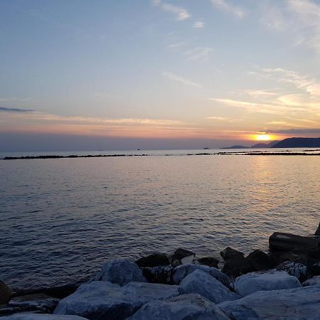 Hotel Patrizia Marina di Massa Eksteriør bilde